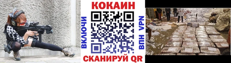 где продают наркотики  darknet телеграм  Cocaine Fish Scale  Каргополь 