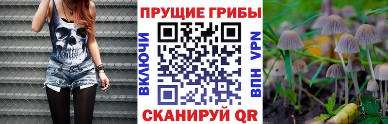Галлюциногенные грибы Magic Shrooms  магазин продажи   Каргополь 
